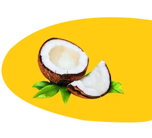 Image of Coconut