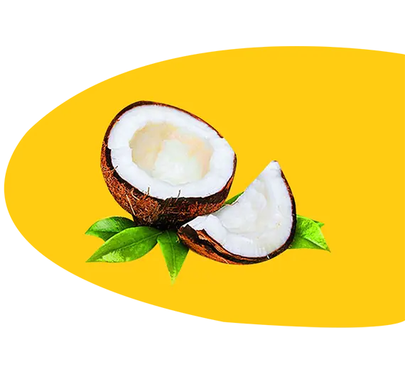 Image of Coconut